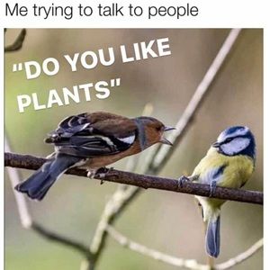 Meet your Posher, Melinda